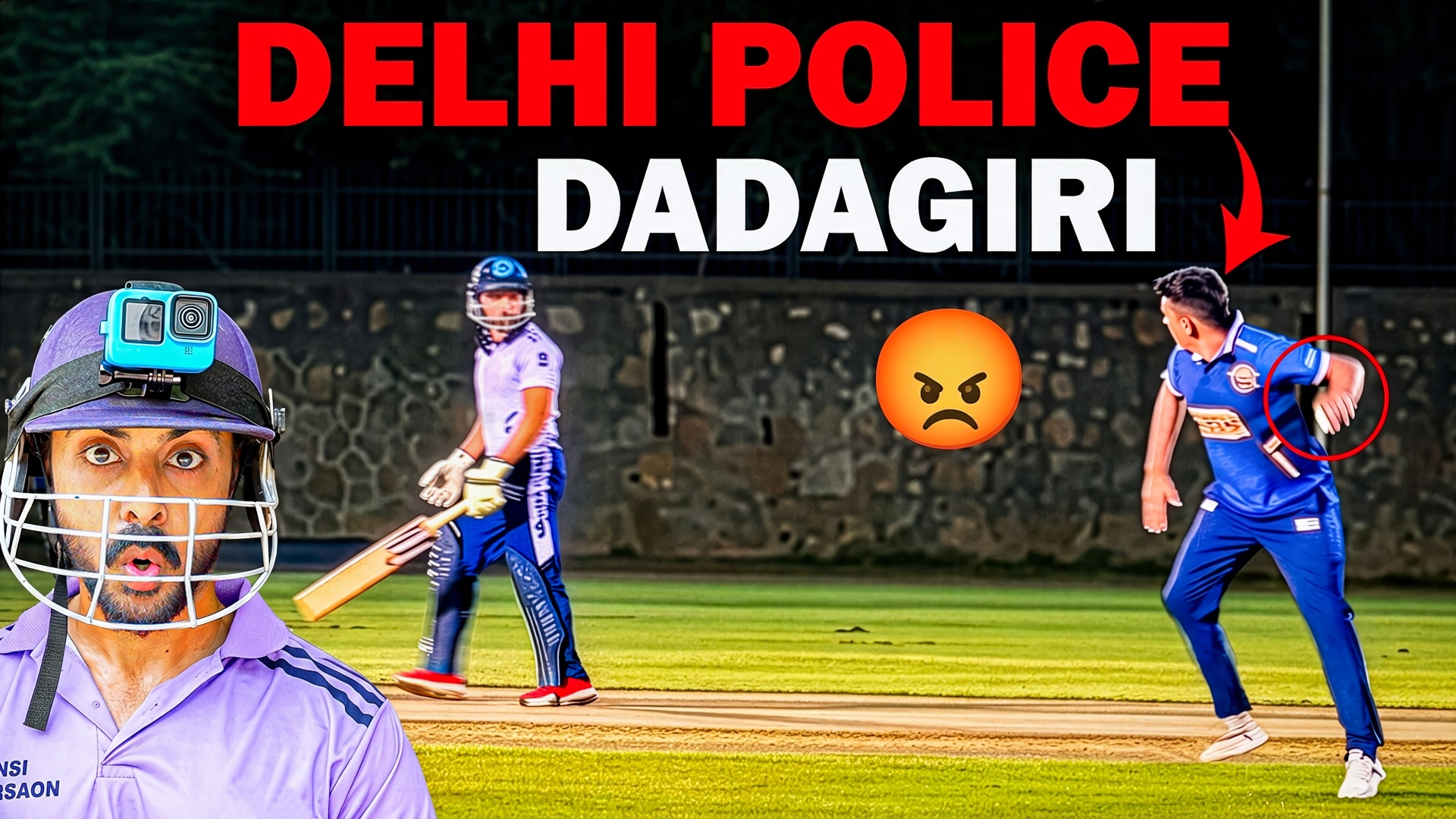 Delhi Police Dadagiri